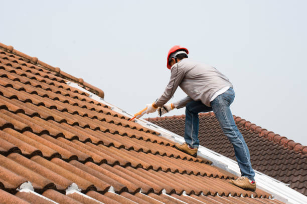 Best Skylight Installation and Repair  in Fostoria, OH