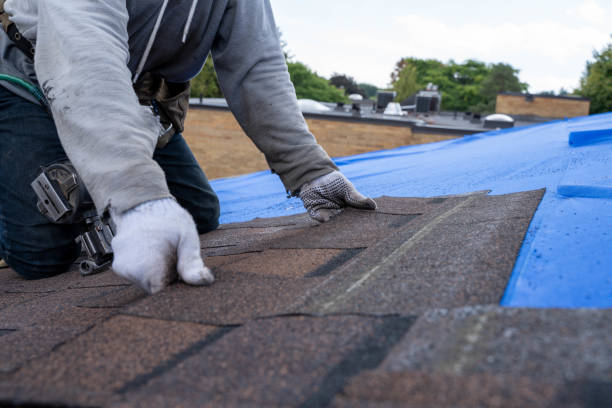 Best Emergency Roof Repair Services  in Fostoria, OH